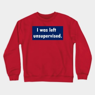 I was left unsupervised. Crewneck Sweatshirt